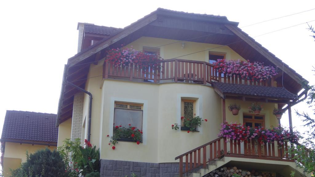 Apartman U Sarky Valaská Exterior photo